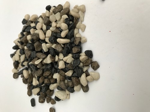 500gram hagen marina fish - marina,