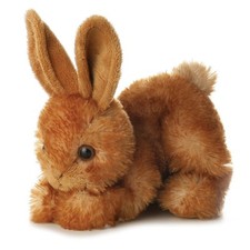 Brown bunny rabbit - bunny,