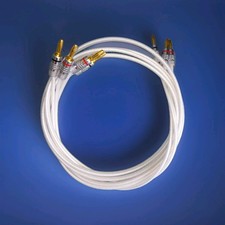  QED Silver Anniversary