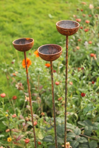 Single bowl rusty metal rain - rusty,