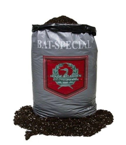 House and garden bat mix - garden,