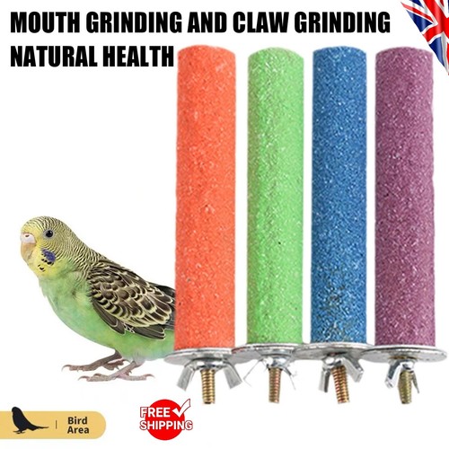 Bird perch beak claw - bird,