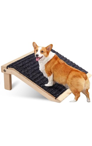Hand pet ramp 2 - in,