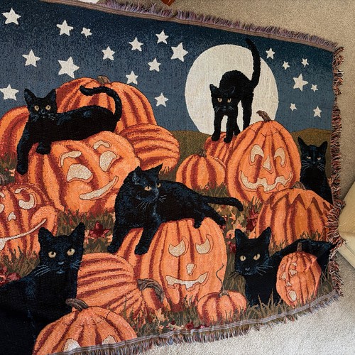 Halloween black cat pumpkin - cat,