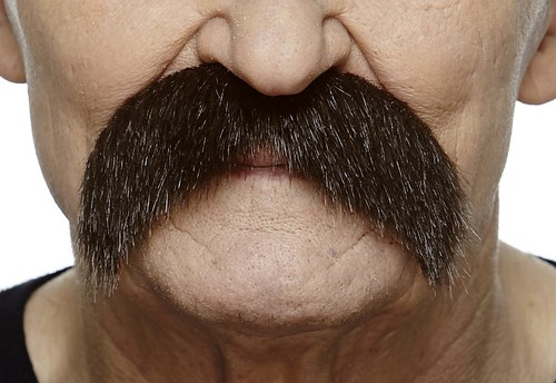 Mustaches fake mustache self - mustaches, mustache,