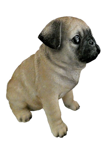 Pug puppy vivid arts - puppy,
