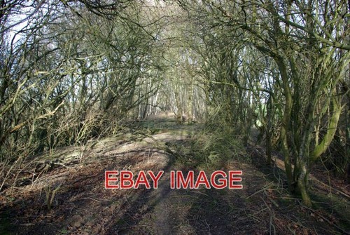 Photo course old railway - course,
