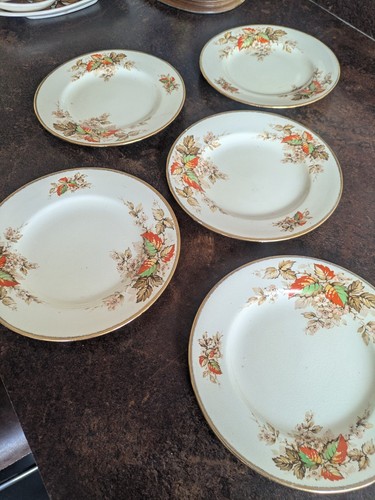 Burleighside plates used - x5,