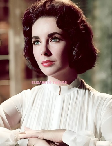 Elizabeth taylor 110 - taylor, #110