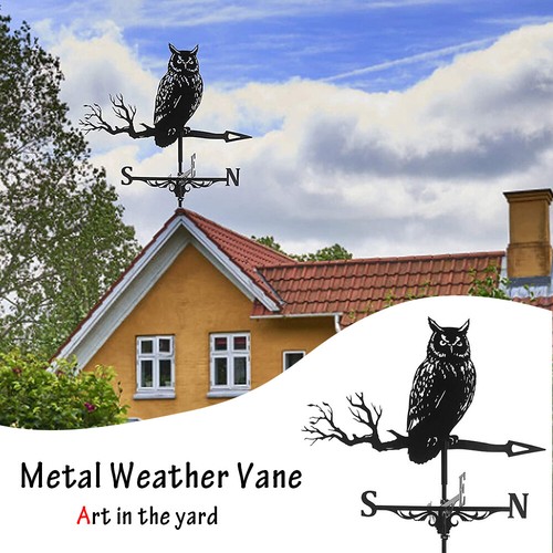 Owl eagle stainless steel - stainless,