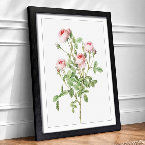 Pink roses flowers - flowers, vintage