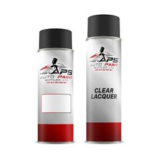 spray paint Lacquer mix to