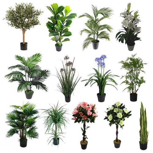 Artificial realistic plants - artificial,