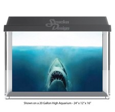 Shark Bottom Water Teeth