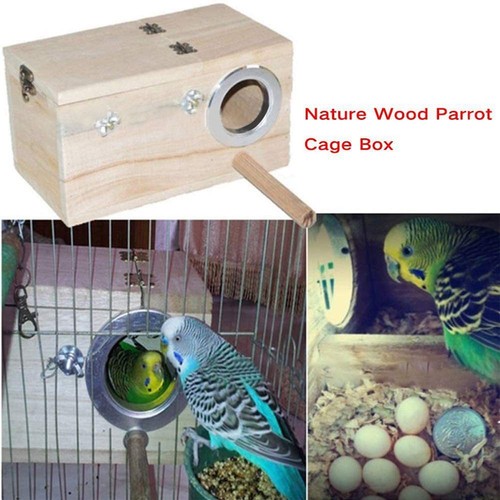 Budgie security wooden bird - security,