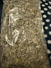 Naabi Booti or Nabi Bouti or