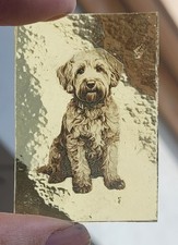 Stained glass labradoodle dog