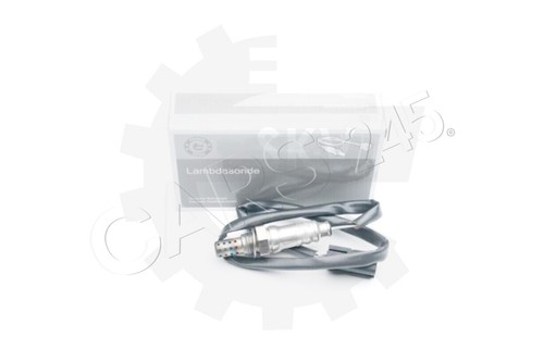 Oxygen sensor for rover - sensor, mg