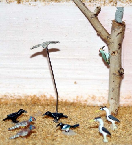 Wild birds f147 unpainted - 10,