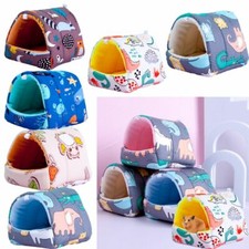 Winter Small Animal Sleeping