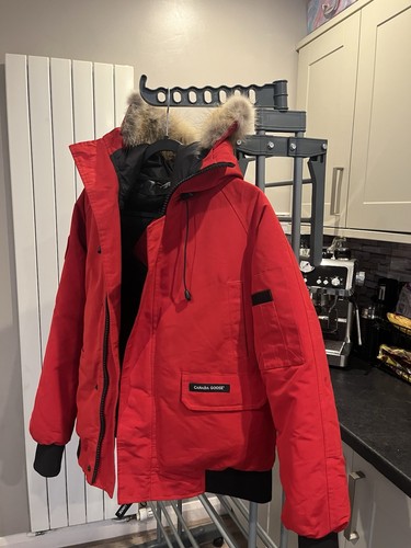 Canada goose chilliwack - canada,