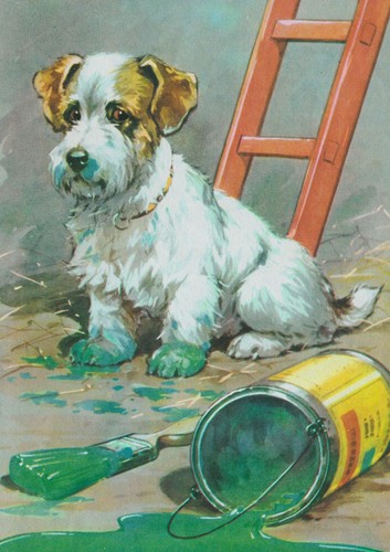 Jack russell terrier dog - terrier,