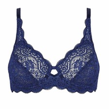 Triumph Amourette 300 Wired