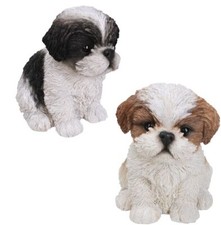 Shih Tzu Puppy Dog - Lifelike