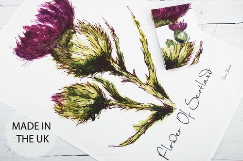 Thistle flower of scotland - thistle,