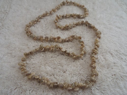 Taupe mini shell necklace - mini,