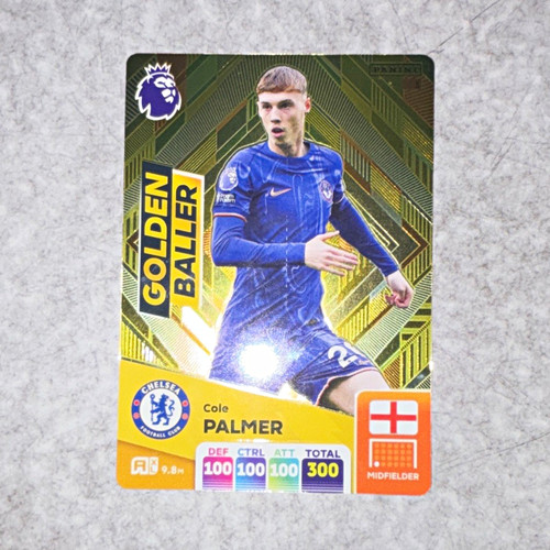 Panini adrenalyn premier - panini,