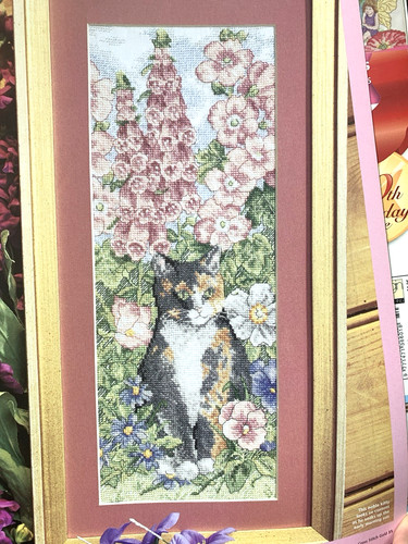 The pink tortoiseshell - in,