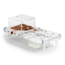 Ant Farm (Ant Farm) Mushroom