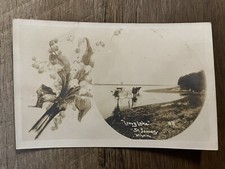 1907 Cows in Lorry Lake, St