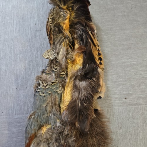 Pheasant back skin pelt - skin,, only