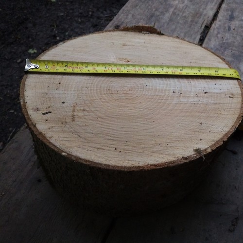Ash firewood chopping - chopping, block