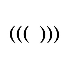 MC Paul Barman (((echo