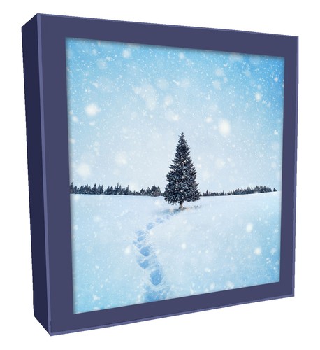 Box snowy festive - of, tree