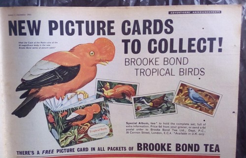 Brooke bond tea tropical - brooke, tea,