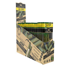 King Palm - 40 Natural Mini