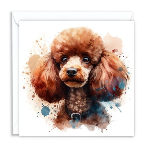 Poodle brown dog - poodle,