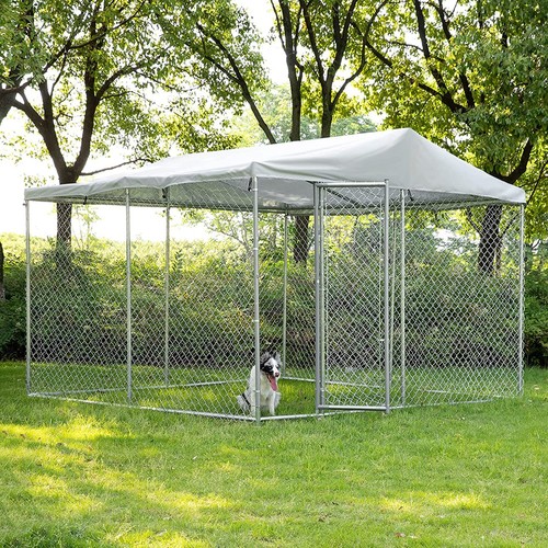 Outdoor large dog - large, heavy