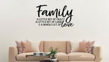 FAMILY LITTLE CRAZY LOUD LOVE