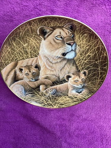 African lioness and cubs - african,