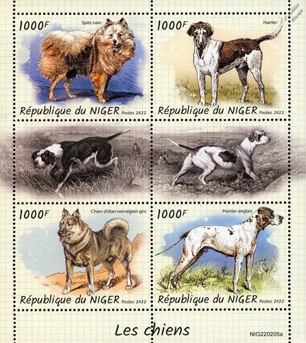 DOGS