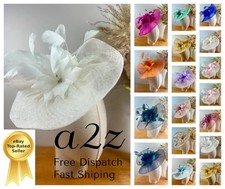 Women's Flower Feather Hair