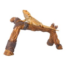 Climbing Pets Climbing