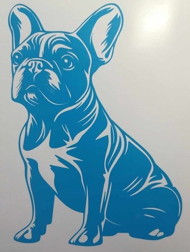 Vinyl decal sticker - decal,