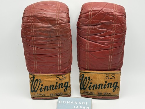 Winning boxing bag punching - boxing,