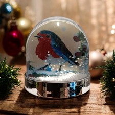 Robin snow globe christmas